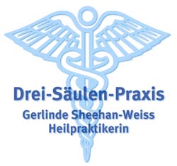 dsplogo